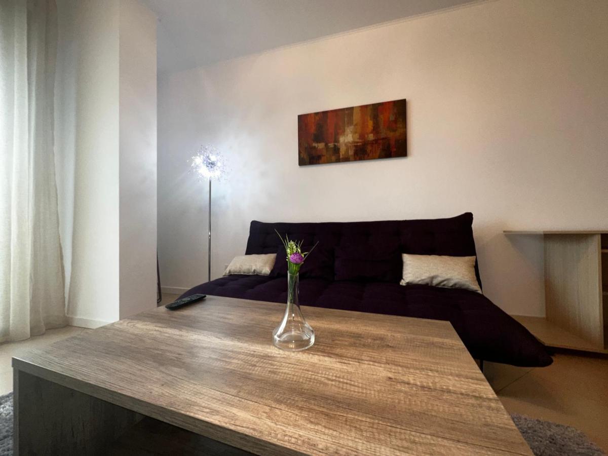 Central Apartment Timisoara Luaran gambar