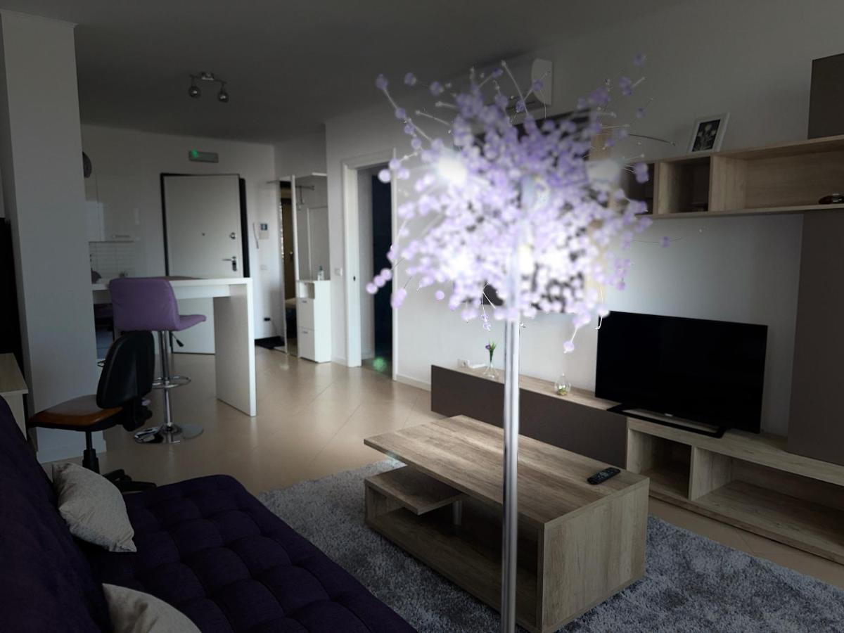 Central Apartment Timisoara Luaran gambar