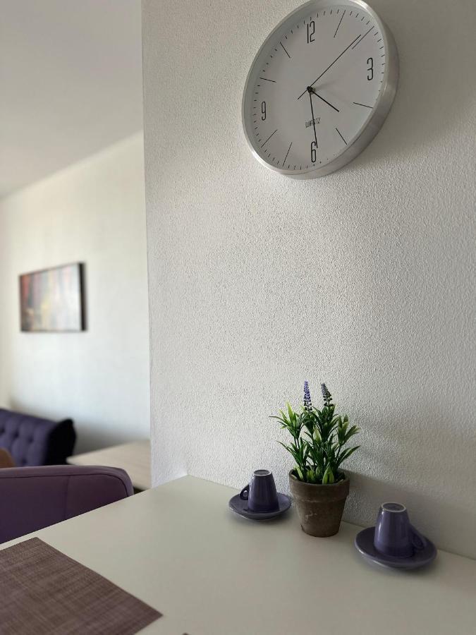 Central Apartment Timisoara Luaran gambar